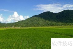 诚信立身，守信成事