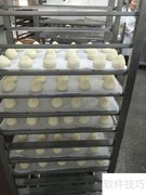 卷面式包子机低价高性能