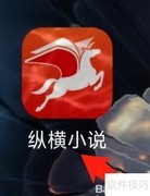 纵横币查看指南