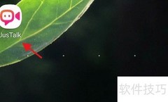 Jus Talk画中画设置指南