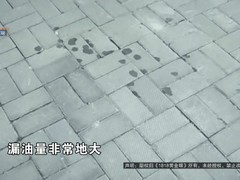 全款购奥迪A5L次日漏油 车主怒要求换车