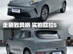 欧拉5发布：告别猫系命名重塑品牌