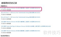 Win10 20H2 Beta更新指南