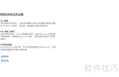 Win10 Beta 19041.508更新指南