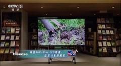 接连被央视推荐！海信RGB-Mini LED电视获众星集体打call