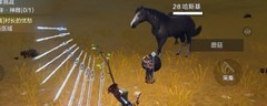 妄想山海粉褶菌夜采攻略