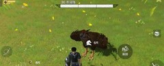 妄想山海秃鹫捕捉攻略