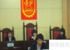 仲裁庭审笔录格式指南