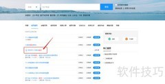 浙A牌照竞拍攻略