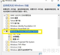 无法使用Web发布服务？