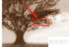 汉译英技巧速成指南