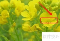 汉译英技巧速成指南