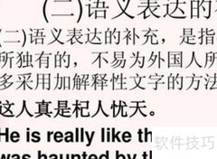 汉译英技巧速成指南