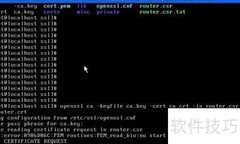OpenSSL设置终端证书指南