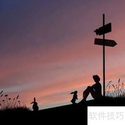 hearwho使用方法详解
