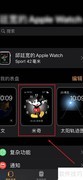 Apple Watch报时设置方法