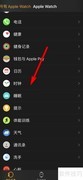 Apple Watch报时设置方法