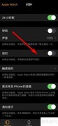 Apple Watch报时设置方法