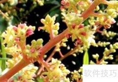 do的用法详解：代表什么？