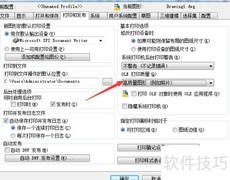 AutoCAD 2008自动选择设置方法
