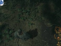 鬼武者：剑之道试玩版上线，PS5 Pro光追与帧率表现全面领先