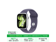 Apple Watch 42mm京东大促，低至1941元