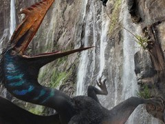 侏罗纪世界：重生上线流媒体，暑期票房黑马获年轻观众青睐