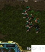 星际争霸1.08制胜攻略