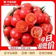 京喜指数5斤装圣女果，带箱4.5斤仅12.9元！