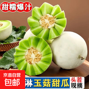 海南玉菇甜瓜现摘现发，满5减4仅18.9元！