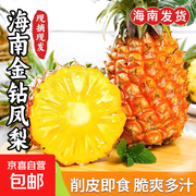 海南金钻凤梨台农17号，4.5斤装仅23.99元速抢