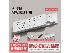 国际电工免接线插座，京东24.9元带回家