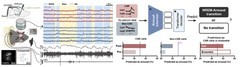 智源与清华大学合作成果登上Science，揭示“记忆-睡眠”双向调控新机制