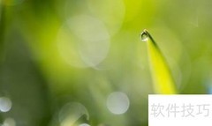 并列句表示的关系类型