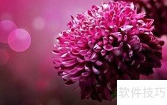 并列句表示的关系类型