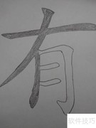 有字笔顺及常见错误解析