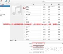 TuneFab转Apple Music为MP3