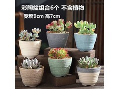 京东OLOEY粗陶多肉花盆10个仅19.9元包邮