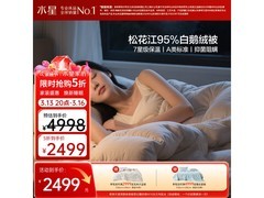 水星家纺净暖抗菌白鹅绒冬被