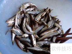 坛子埯鱼妙招