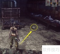 如何捕捉动物：let it die 释义