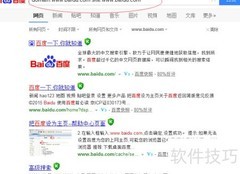 site与domain指令应用解析