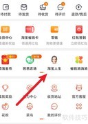 淘宝搜做我的猫萌宠来袭