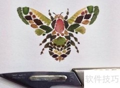 植物拼贴艺术画