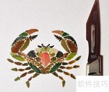 植物拼贴艺术画