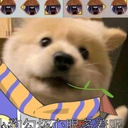 万象物语：低配通关攻略