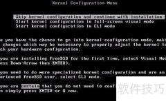 FreeBSD 6.2 安装指南
