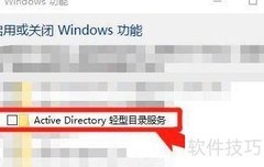 安装Active Directory轻型服务