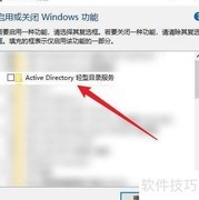 启用Active Directory轻型服务