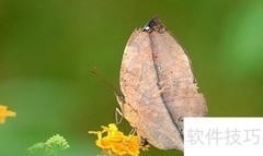北京七彩蝶园游玩指南